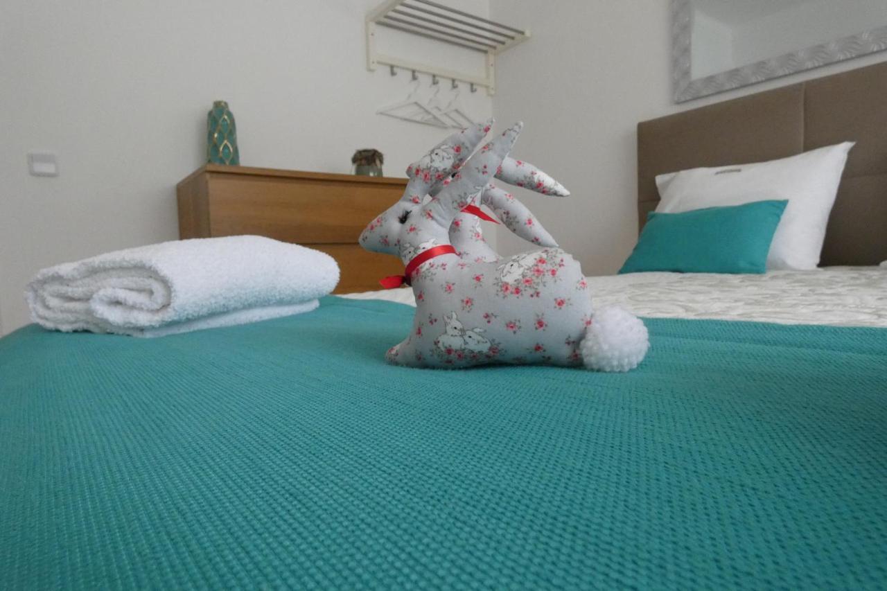Casa Sandra - Apartamento Carlota Lousã Zewnętrze zdjęcie