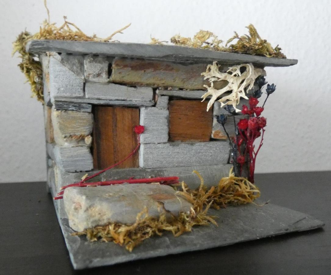Casa Sandra - Apartamento Carlota Lousã Zewnętrze zdjęcie